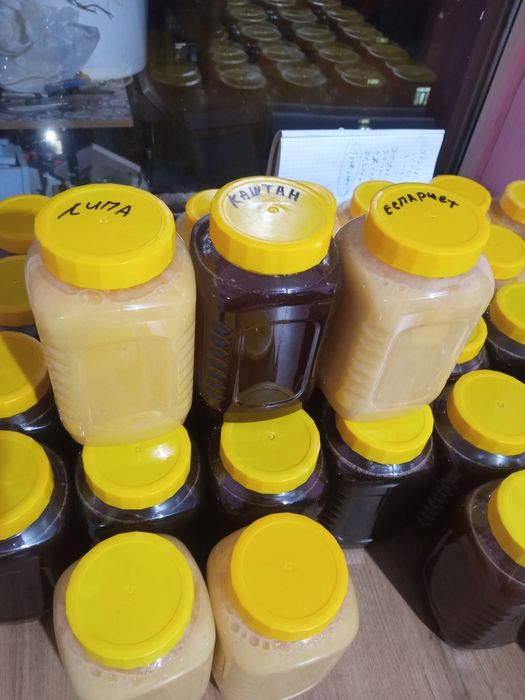 Ta'biy tog' asallari