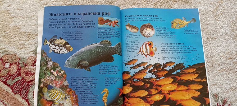 Книжки енциклопедии за деца