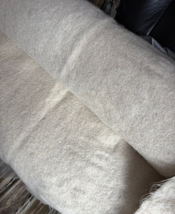 Pănură sură sau neagră