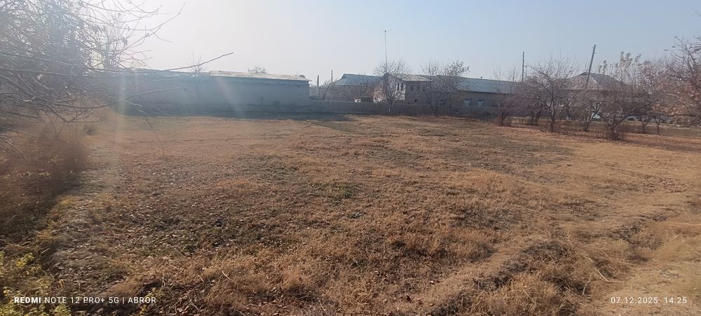 Navbaxor 29 sutiqlik xovli