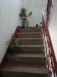 Apartament cu 3 camere