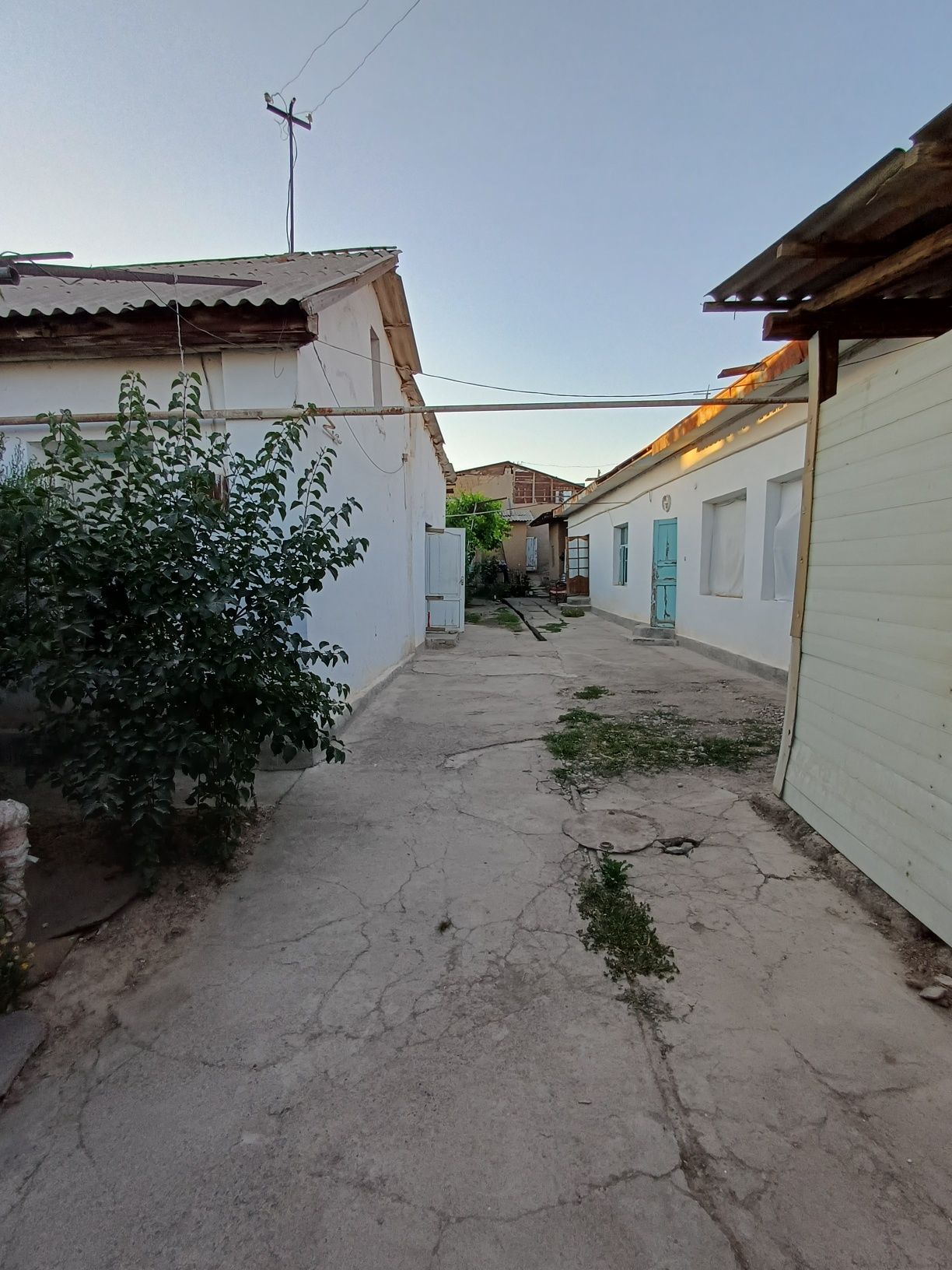 Srochno qibray uzumzor maxalada