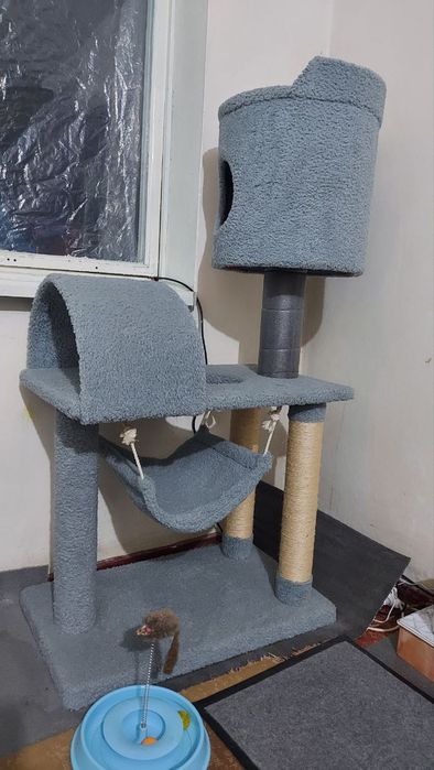 Кошачий комплекс