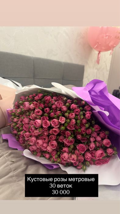 Продам цветы живые б/у