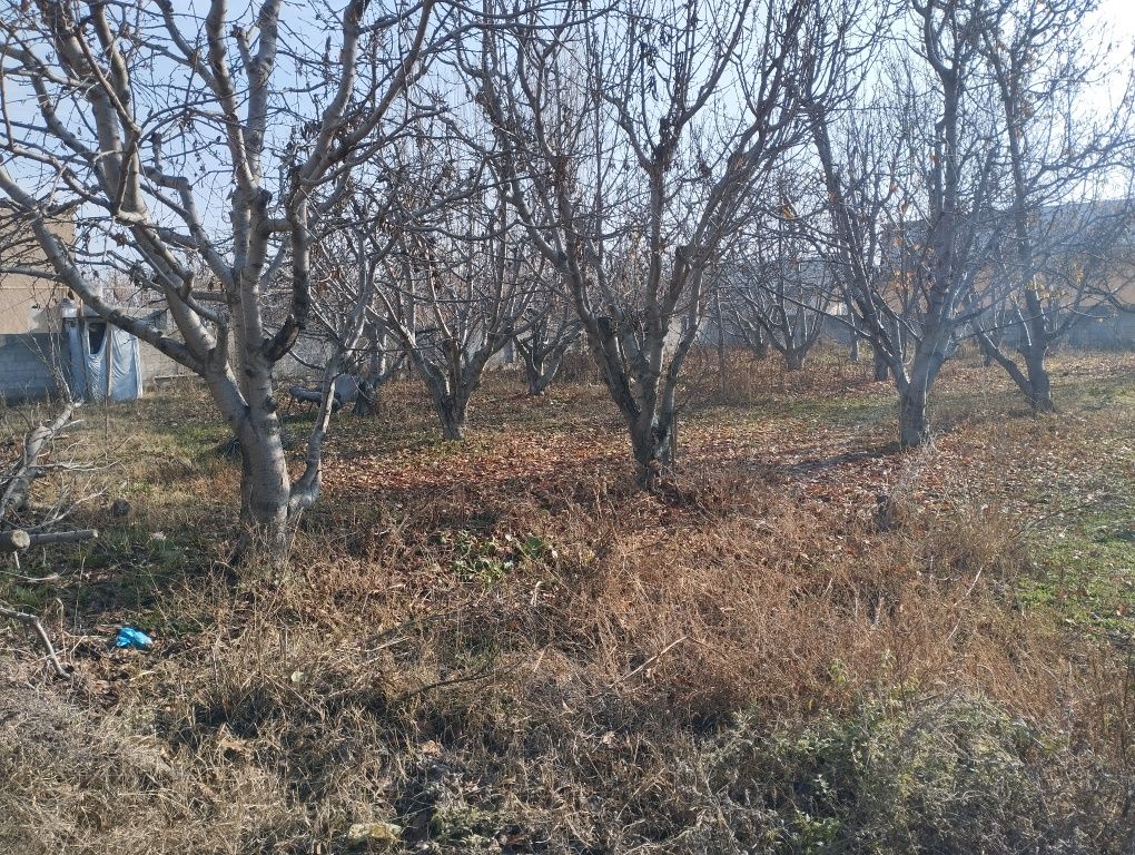 Ишлаб чикариш ёки Турар жой килса булади