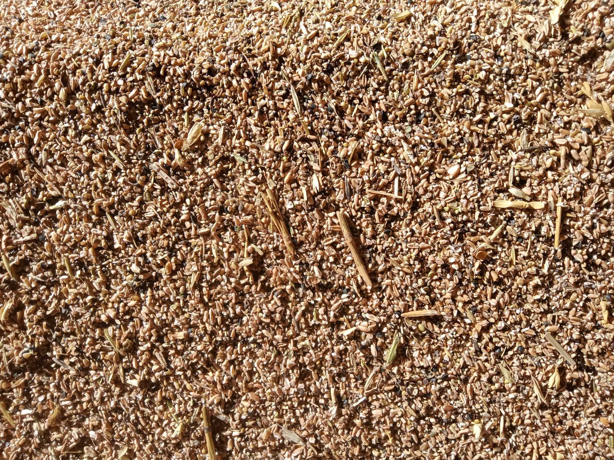 Зерноотходы пшеничные сечка в мешках