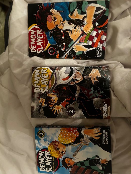 seria demon slayer vol 1-10 (fara vol 6)