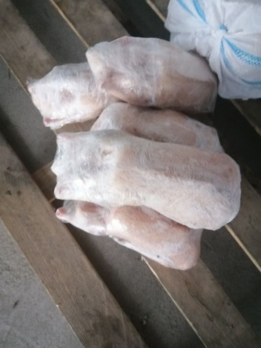 Мясо домашней  утки