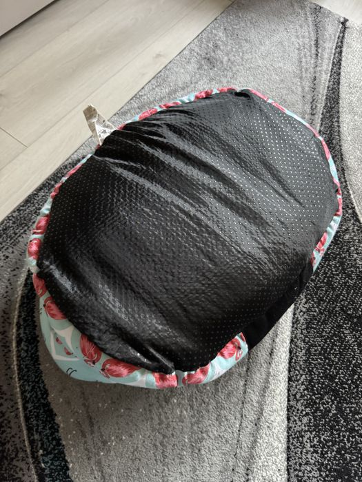 Patut caine sau pisica