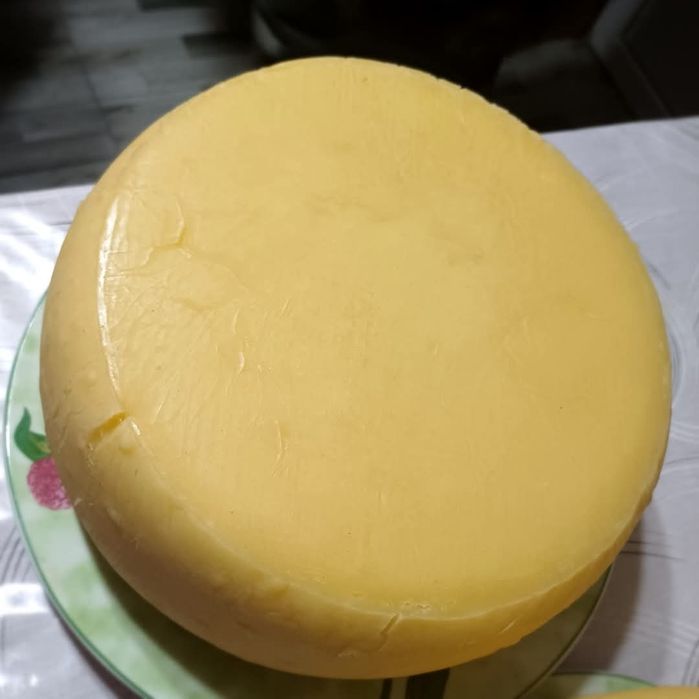 Caș din lapte de vaca 40 lei kg