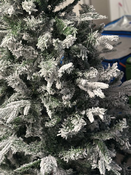 Brad nins craciun 180cm