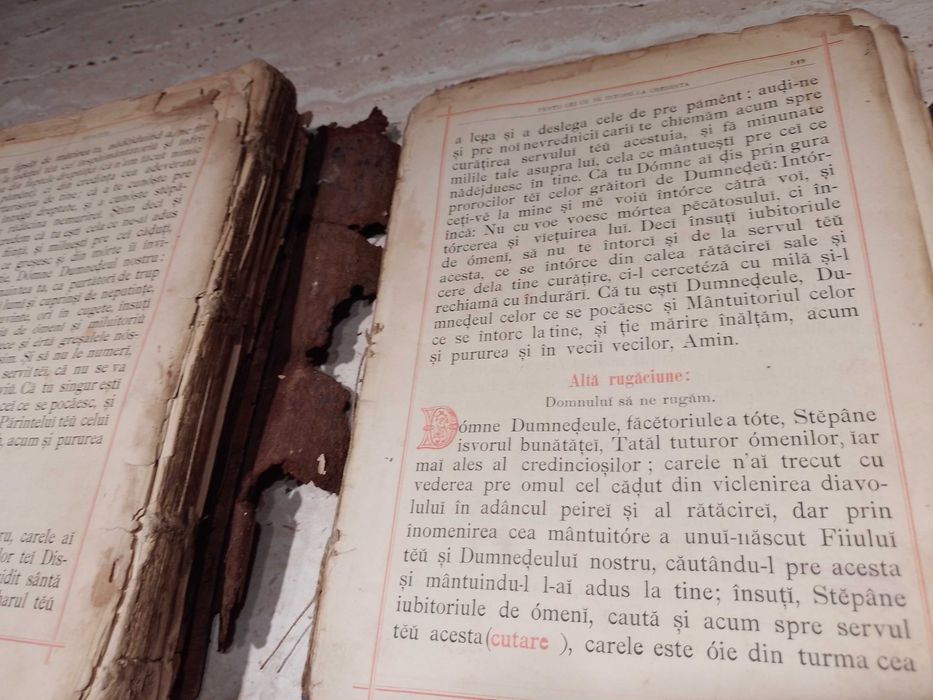 Molitfelnic,Aghiasmatar,Carte Bisericeasca de Randuieli,Veche,sec.XIX