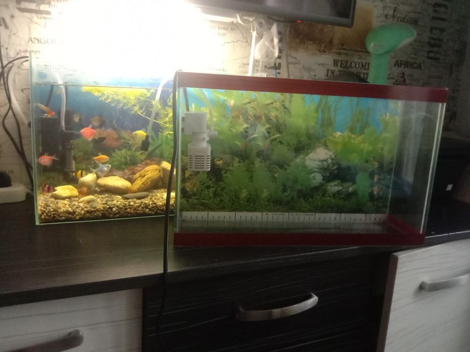Продам аквариум 10л