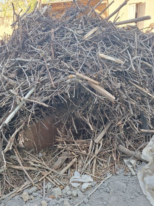 Oʻtin bor 1moshin srochniga bervoramiz