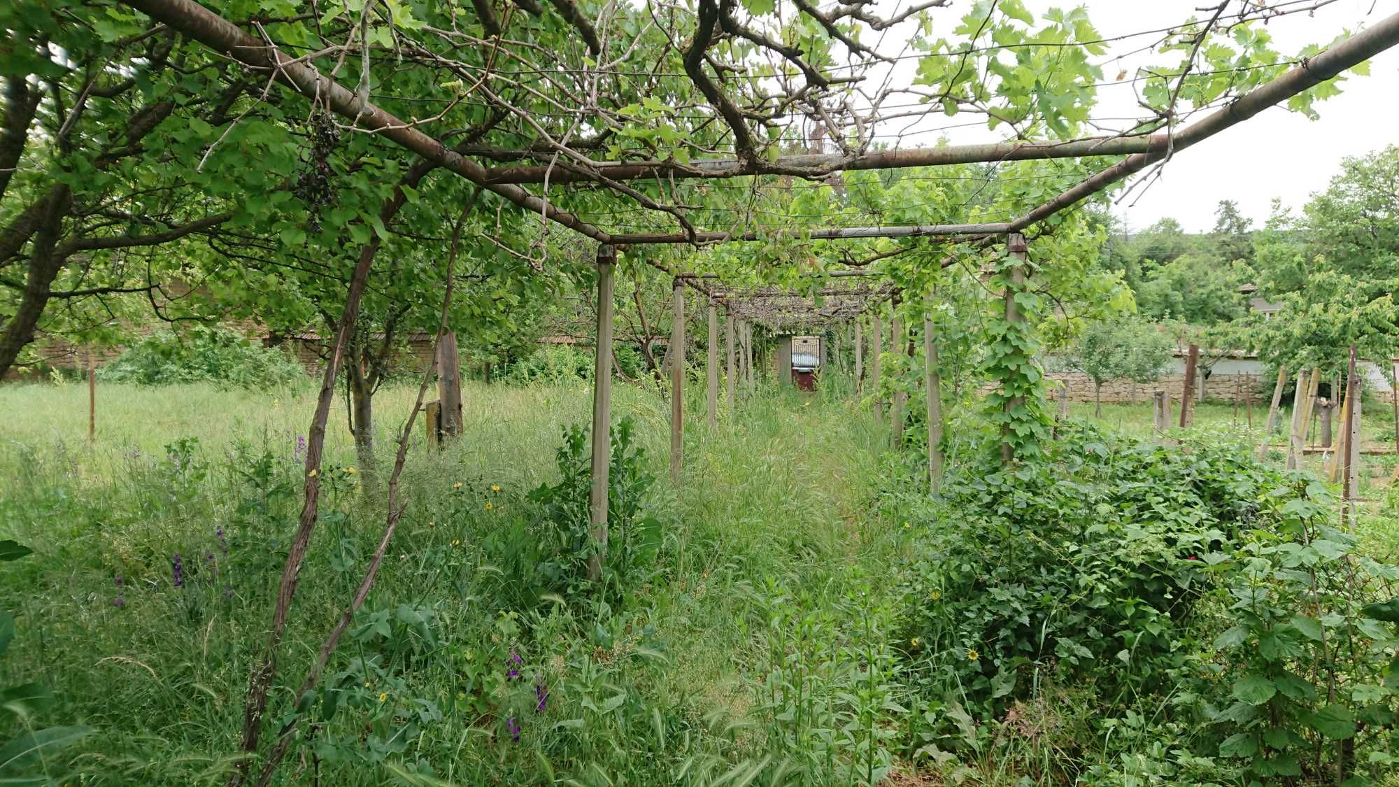 Продавам къща в село Крушуна