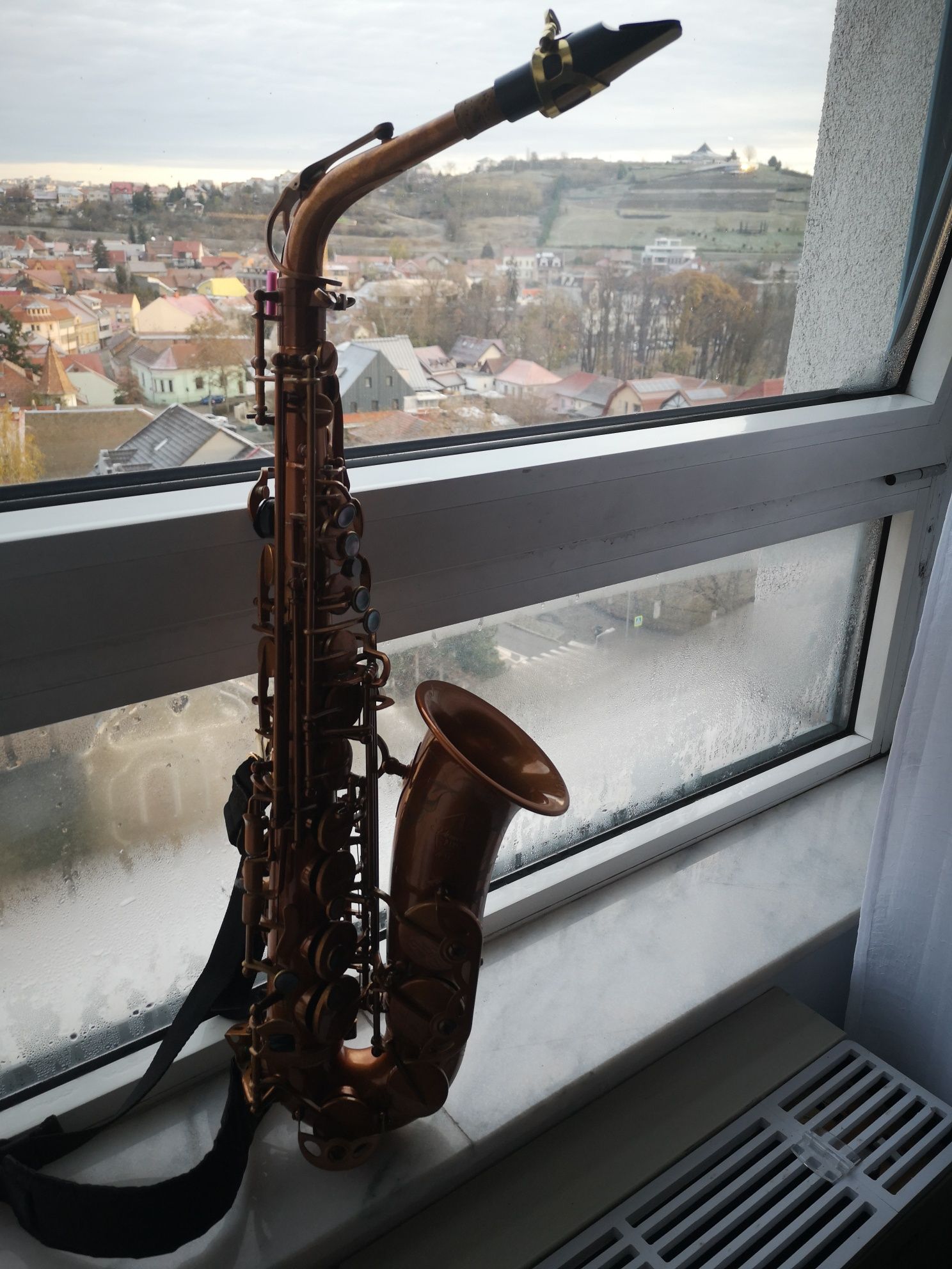 Muștiuc saxofon vermont paris