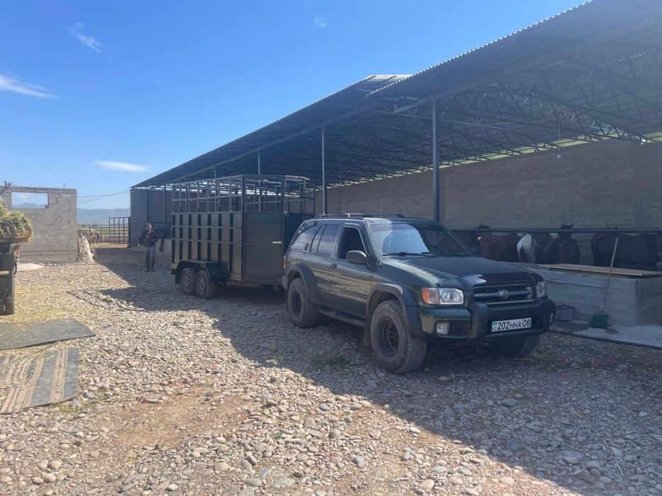 Прицеп коневозка 2 ось