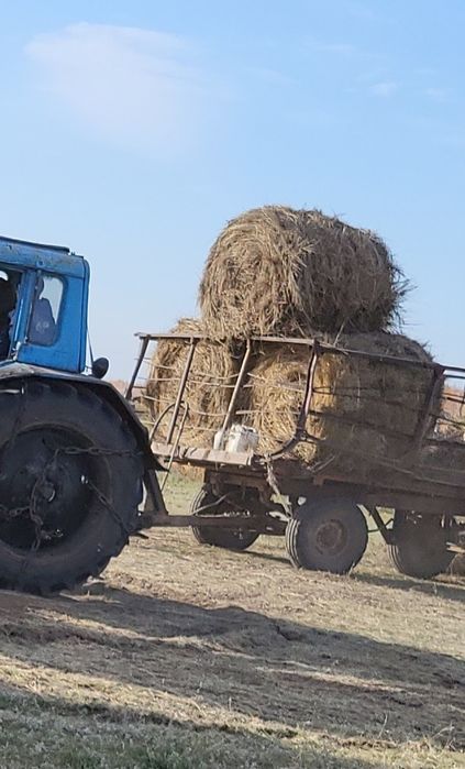 Продам сено в тюках