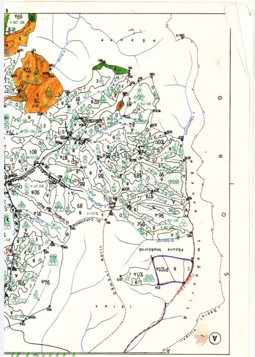 Padure în Savarsin 5600 mp