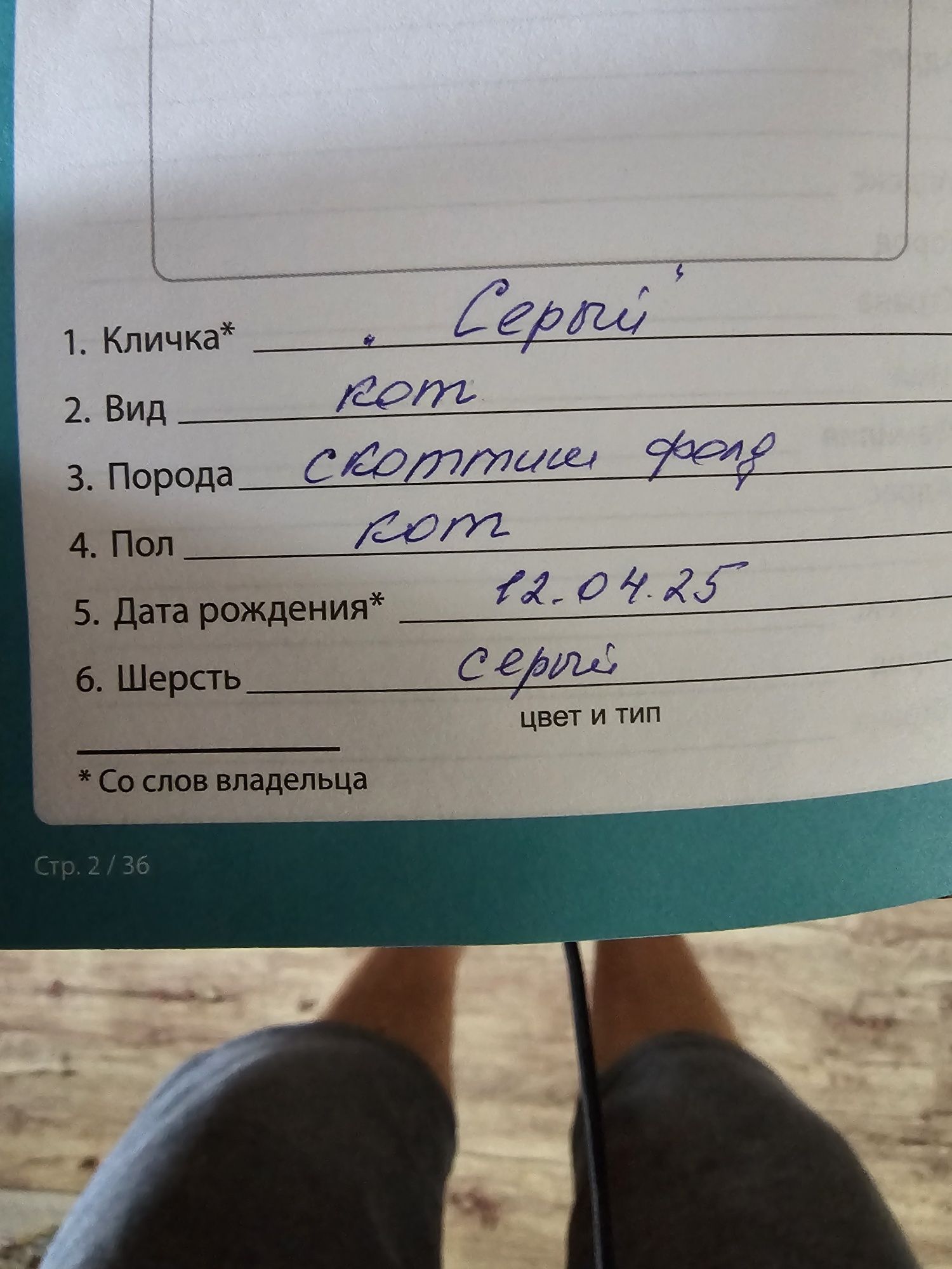Котёнок 3 месяц 3 айлық мысық еркек паспорт имеется есть нормально