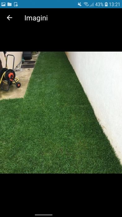 Vând gazon rulou transport si montez in toata țara