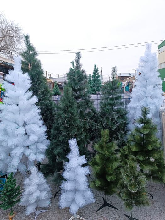 Ёлка Сосна Ель новогодняя! Доставка