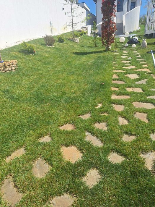 Garden Elen | Gazon Rulou & Semințe + Pregătire & Întreținere