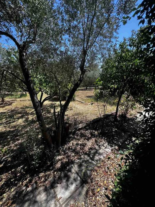 Къща с голям двор и възможност за строеж - Аспровалта