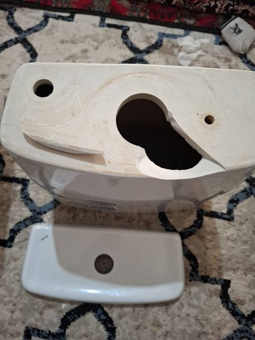 Unitaz rosa bachok singan uzi yaxshi xolata