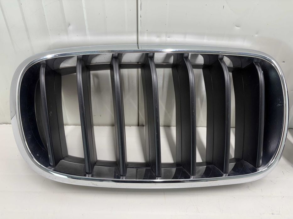 Бъбреци БМВ Х5 Ф15 / Грилове БМВ Х5 Ф15