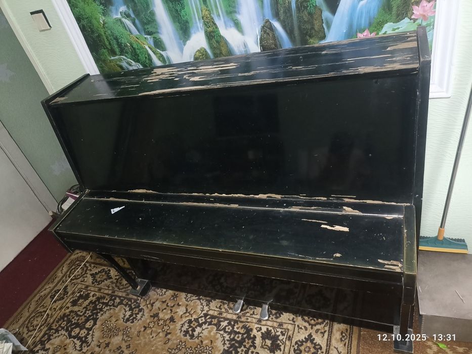 Pionina holati orta kraskasi kochgan qora rangli