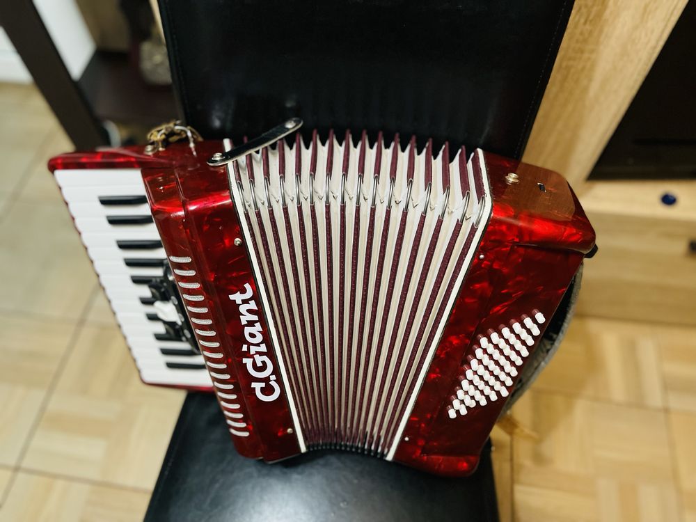 Acordeon 48 Bași Impecabil