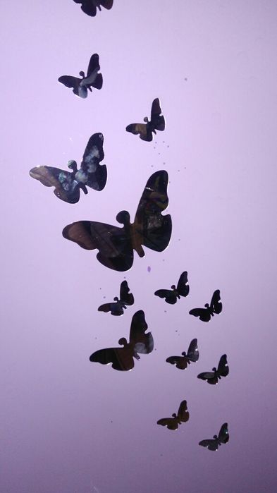 Fluturi decorativi efect oglinda