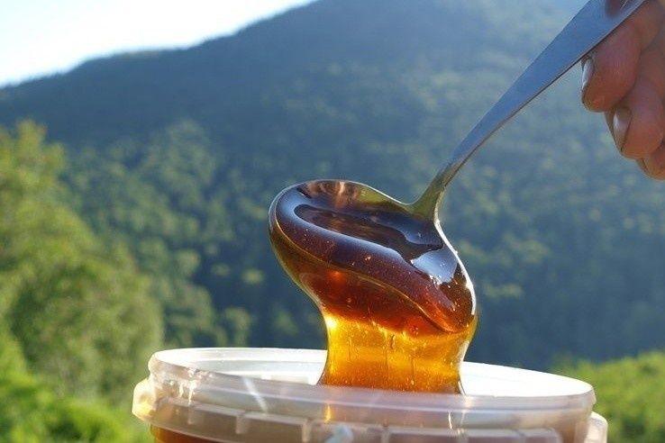 Мёд!!!Полный пакет документов!!С доставкой