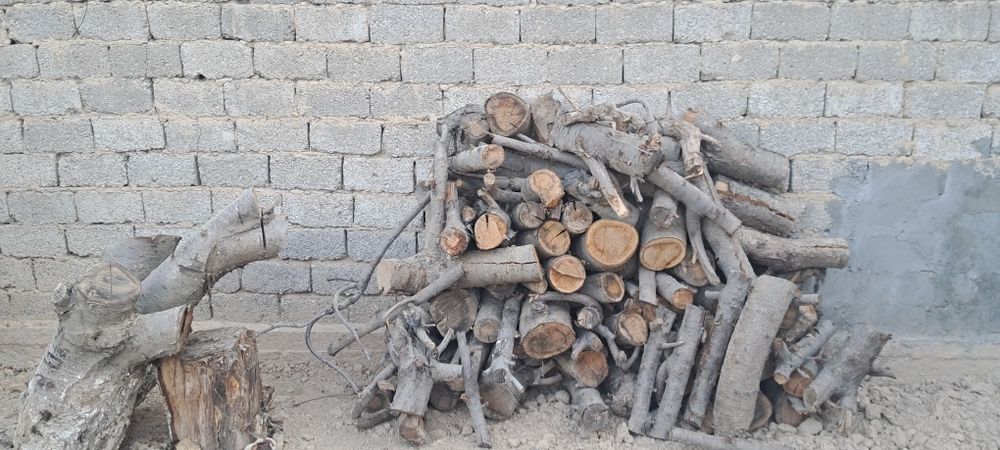 O'tin bor  qalin xoda