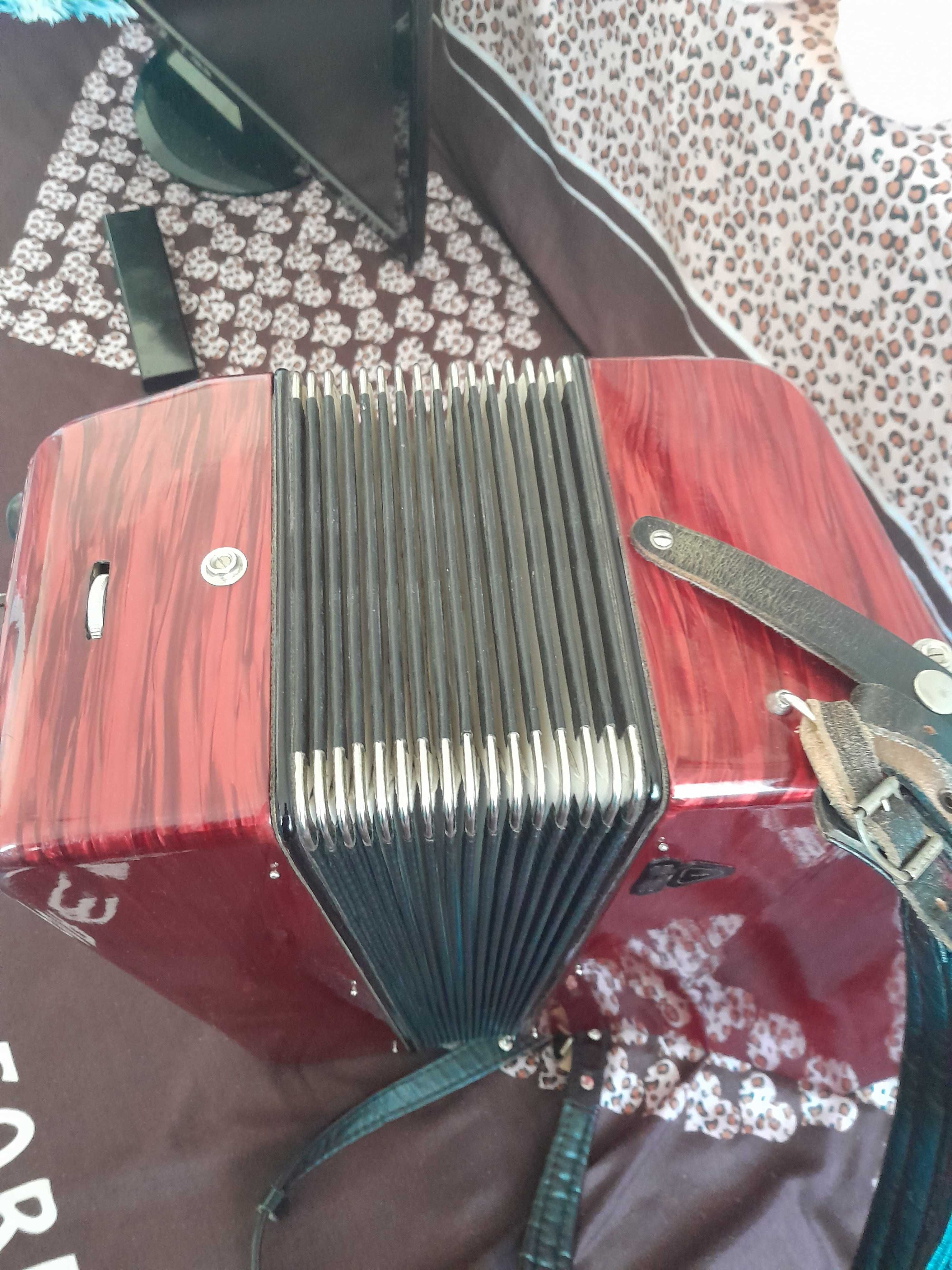 Acordeon firetti italian