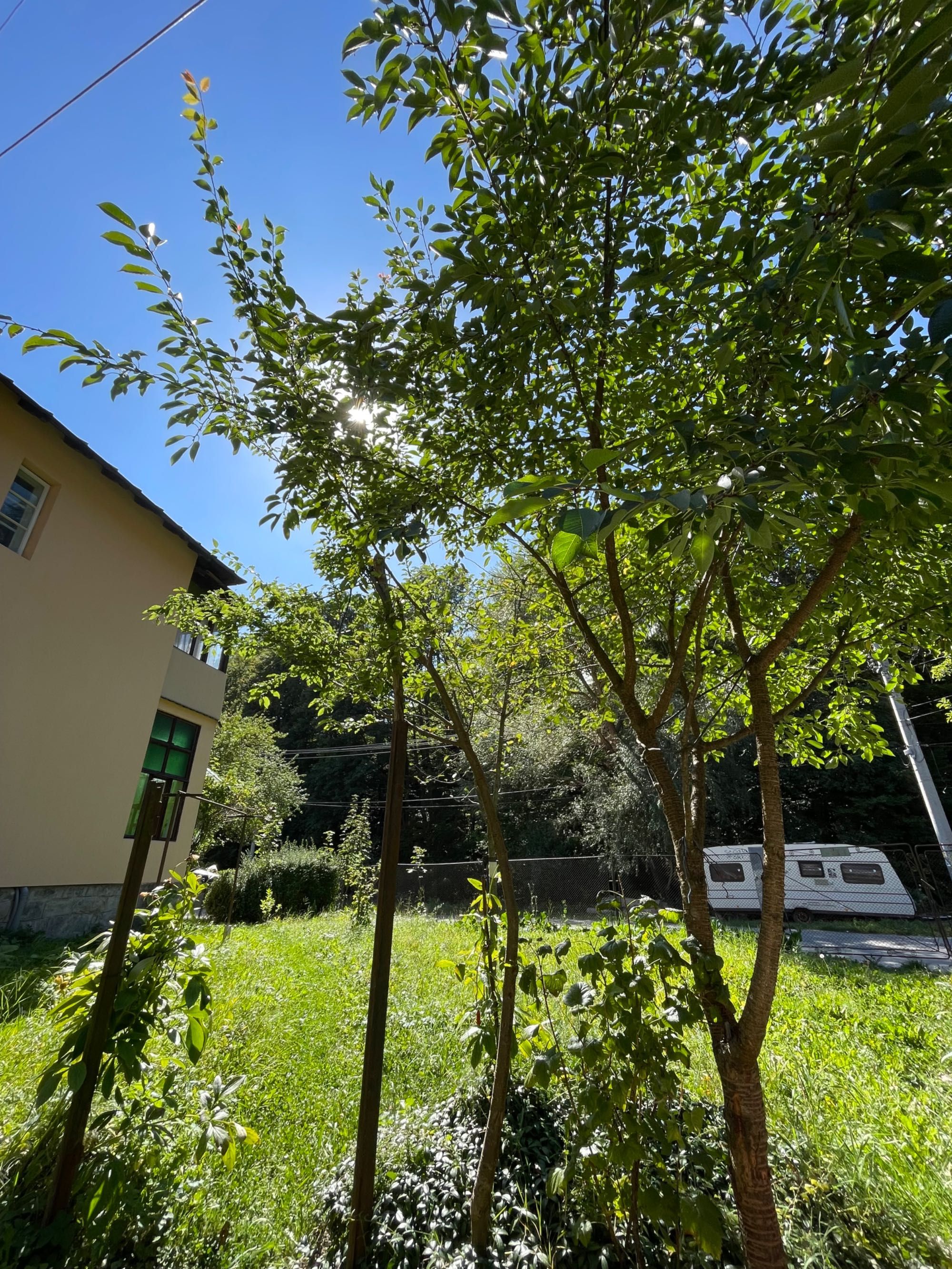 Vand sau schimb apartament 3cam in vila Busteni