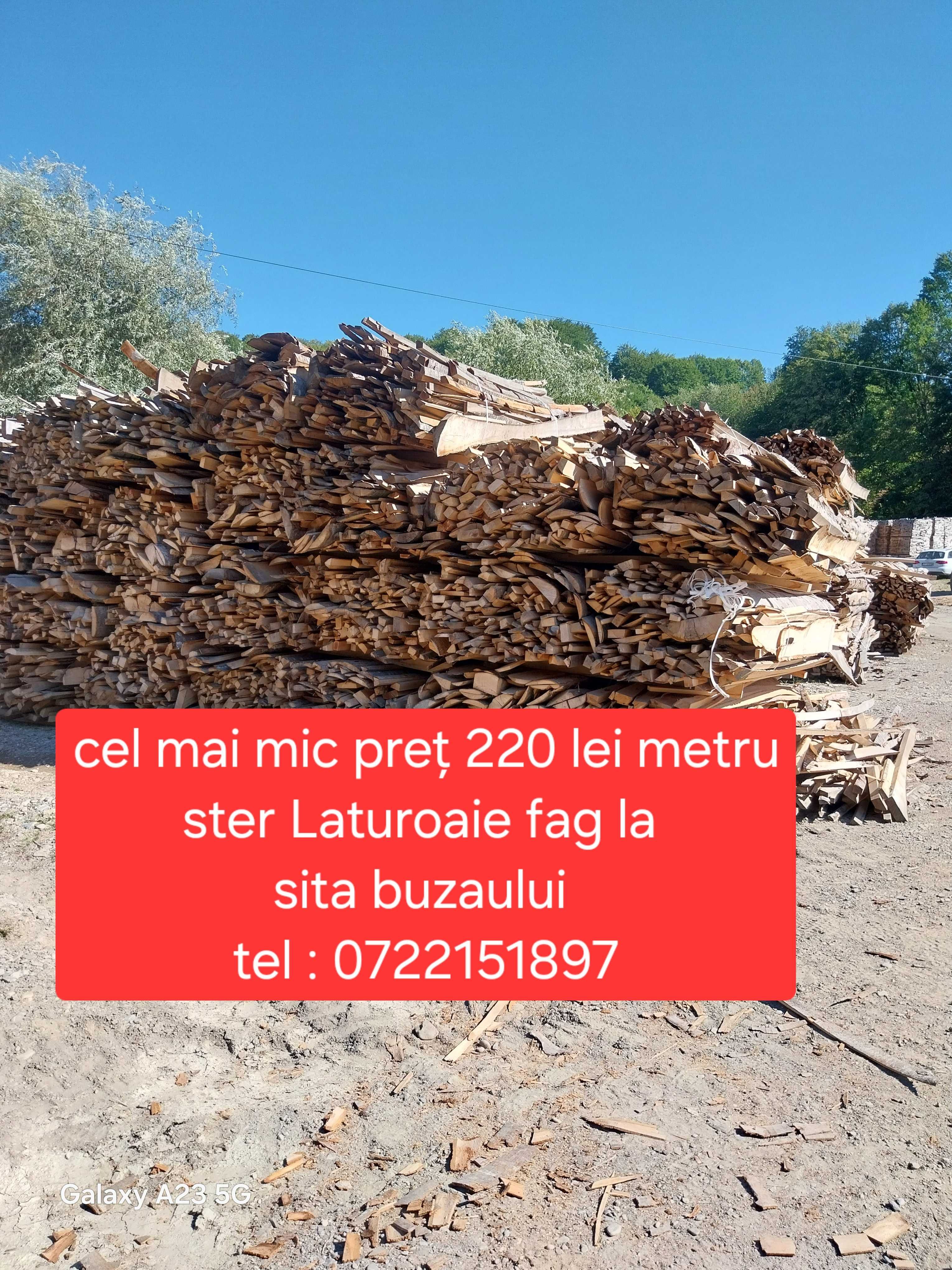 Cel mai mic preț Lemne de foc 220 lei metru ster fag uscat