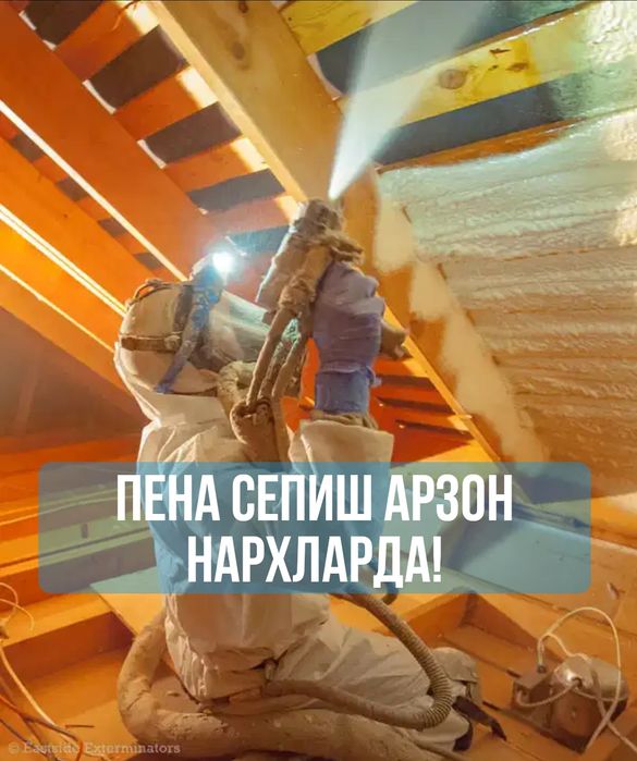 Pena sepish xizmati