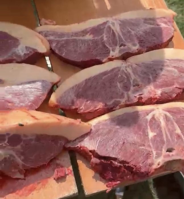 Мясо канины | халал ет