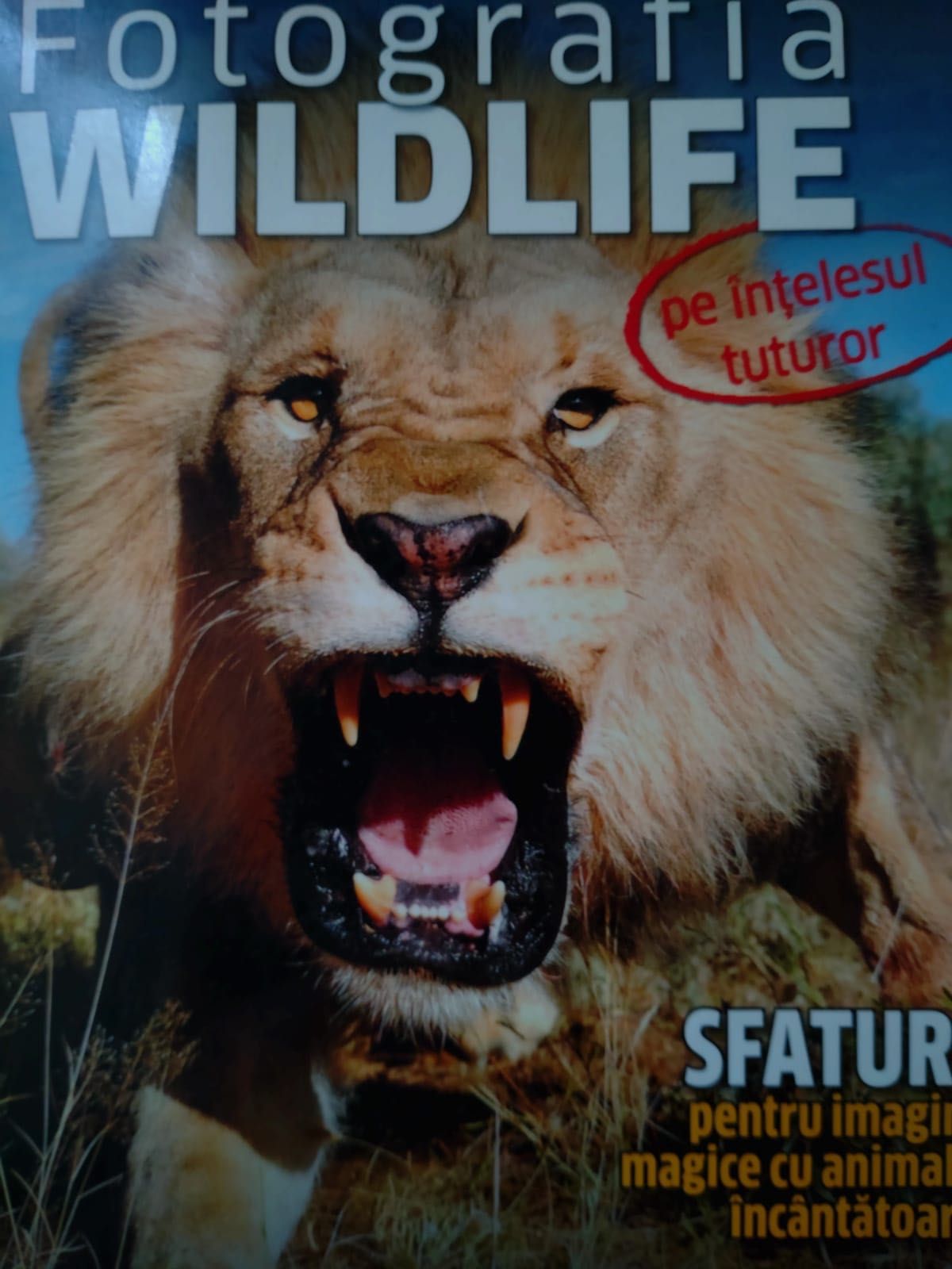 Ghiduri fotografie sport/wildlife