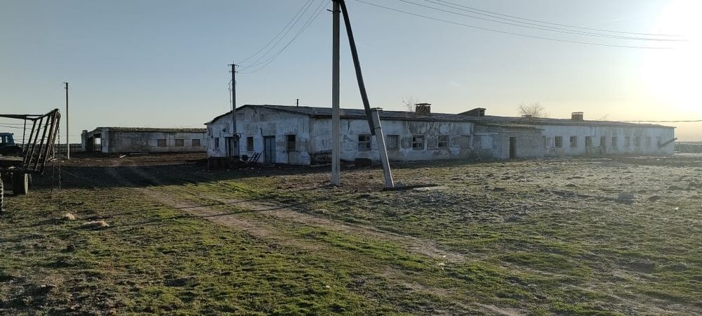 Ферма в Бескарагайском районе