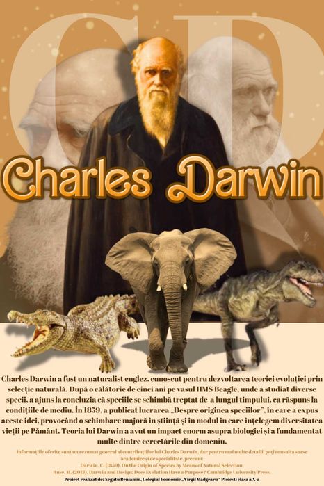 Fac designuri pentru postere