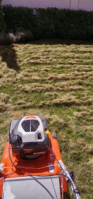 Почистване на дворове. Косене на трева, храсти, рязане на дървета.