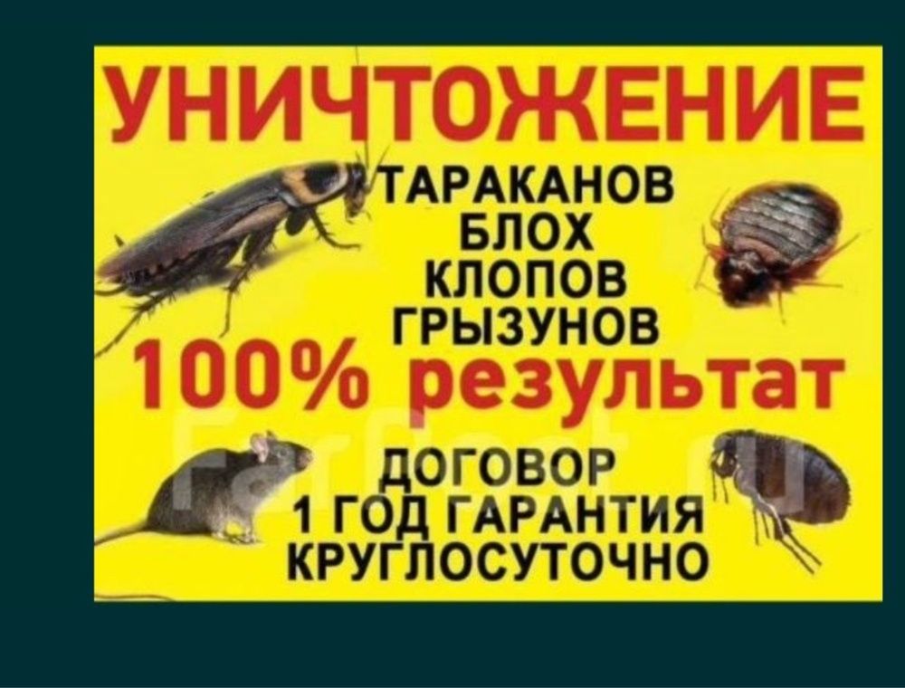 Акция на дизенфекция и деритизацию 10000