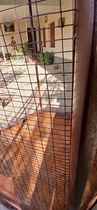 Valer har xil turdagi qushlar uchun.