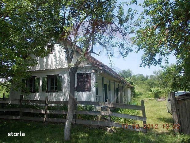 Teren 2877 mp, cu casă bătrânească de vânzare, BOGDA Timiș