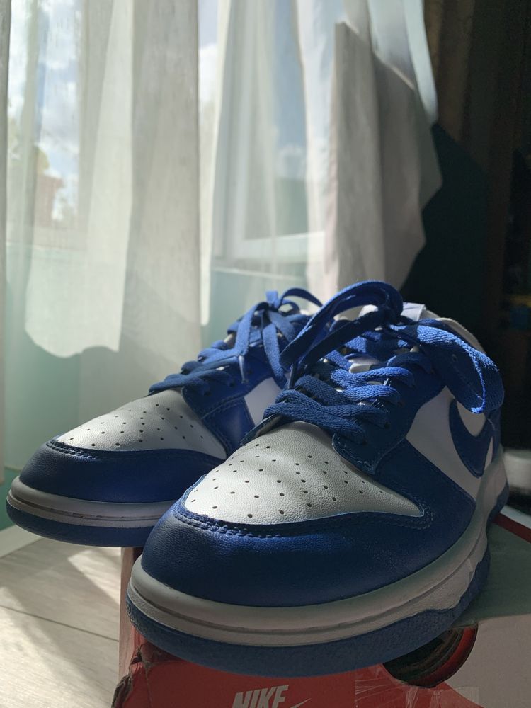 Nike Dunk Low Blue (42.5 EU/9 US)