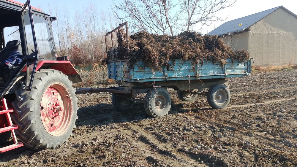 Hammasi narsasi joyida.