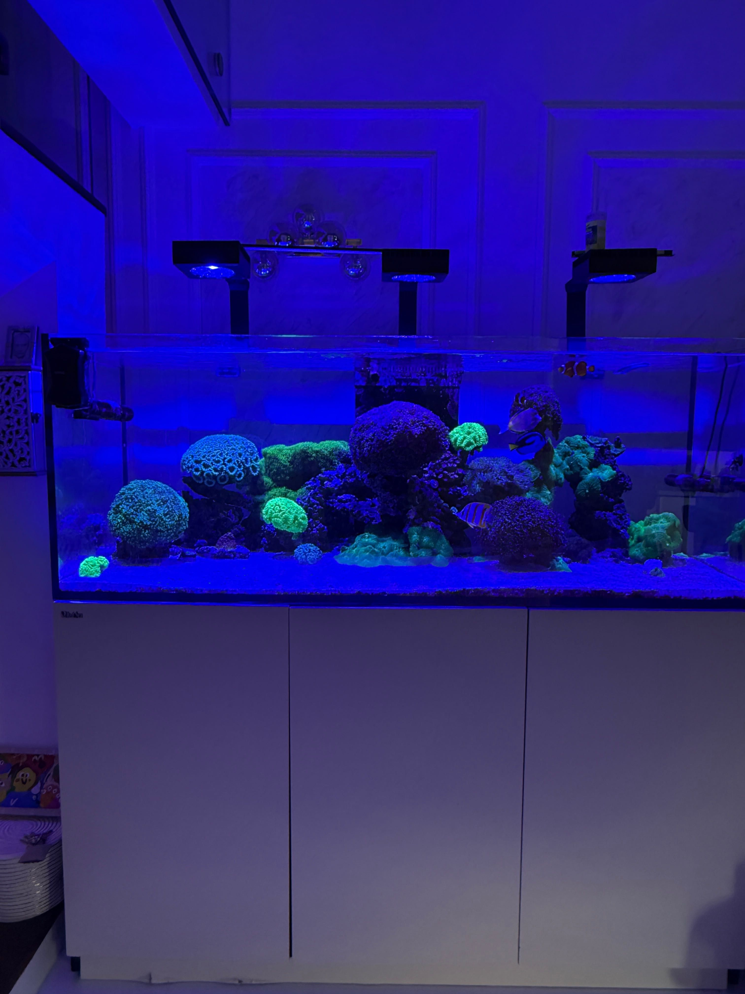 Морски Аквариум готова система всичко включено Red Sea 525XL. Red Sea